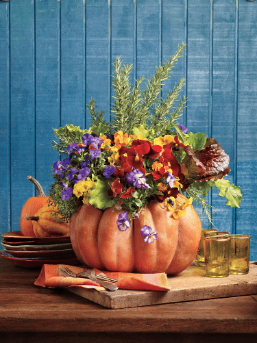 pumpkin on table