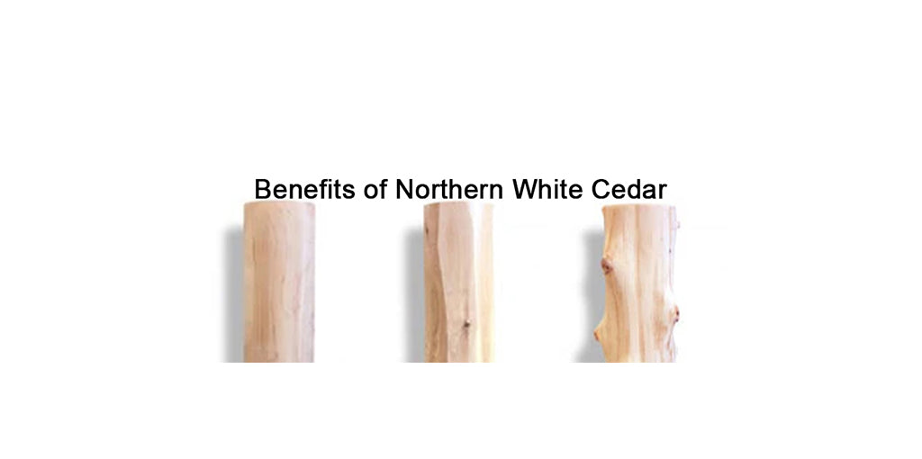 Why LogHeads Chooses Northern White Cedar-And Why You Should Too